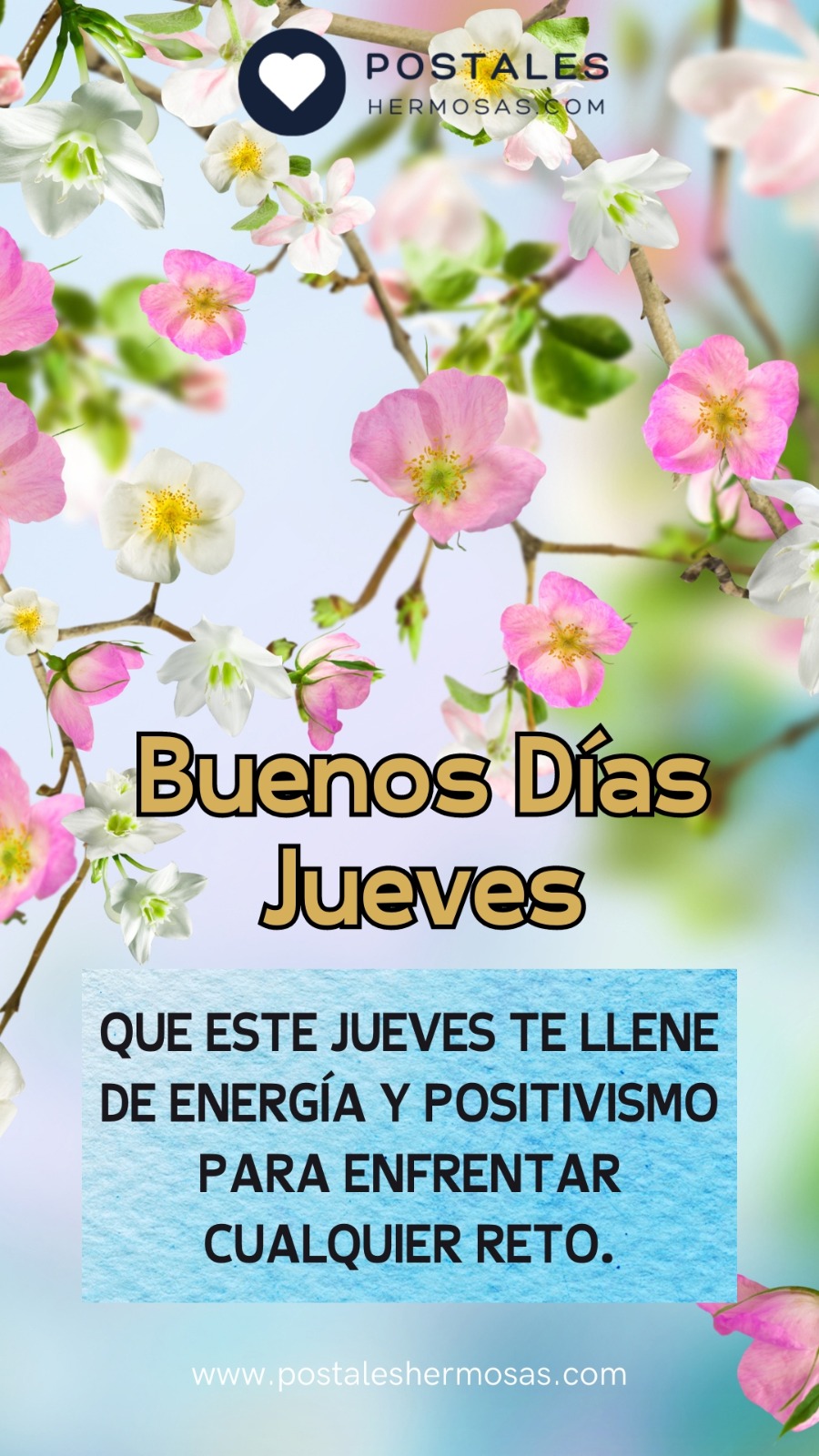 Consulta Personalizada y algo mas